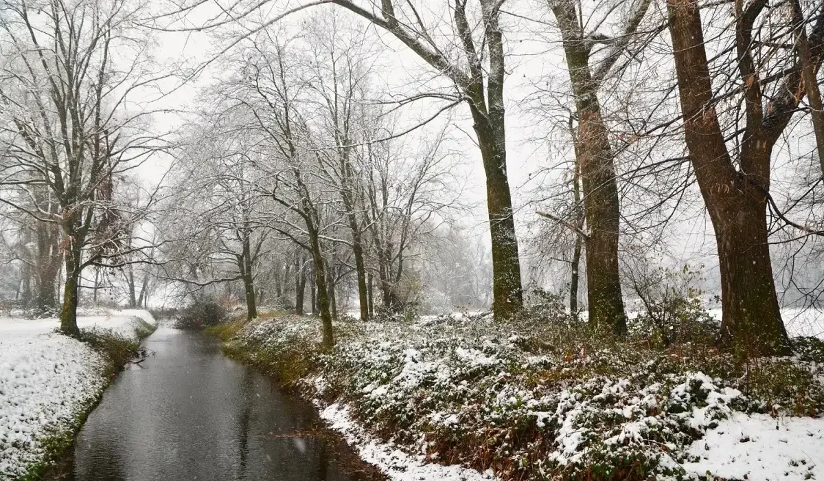 Бұрқасын, қар және көктайғақ: Қазақстанның 12 өңірінде дабылды ескерту жарияланды