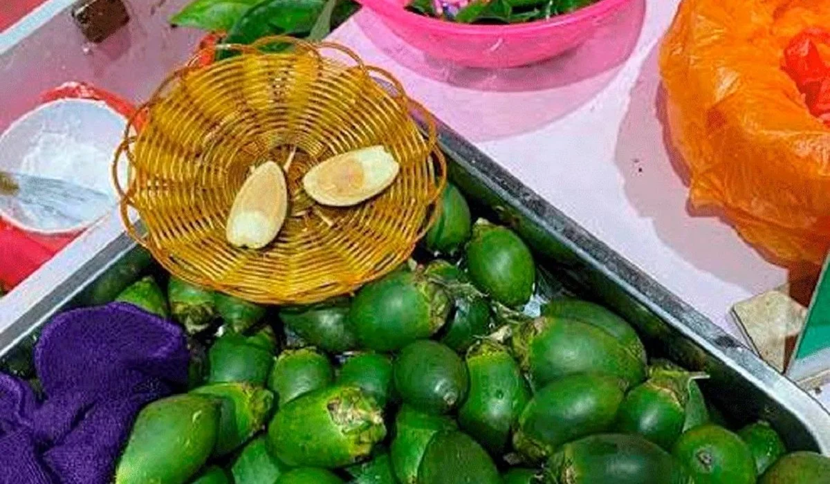 Тәуелділік пен обыр қаупі бар: Ресейде оқушылар арасында қауіпті жаңғақ трендке айналды