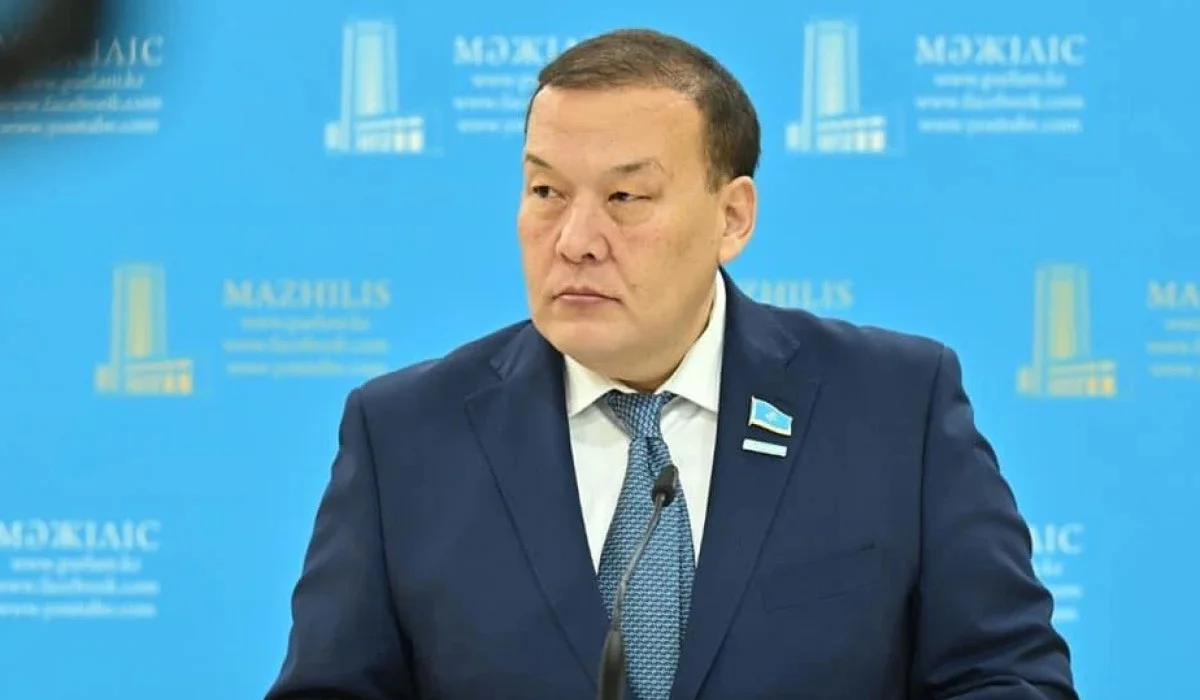 «Жүкті әйелдердің атынан 217 млн теңге ұрланған»: депутат соңғы 3 жылдағы барлық ЭЦҚ-ны тексеруді сұрады