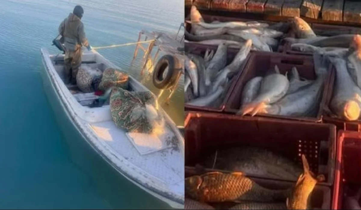 Балқашта балық аулап отырған «балықшылар» күтпеген жағдайға тап болды