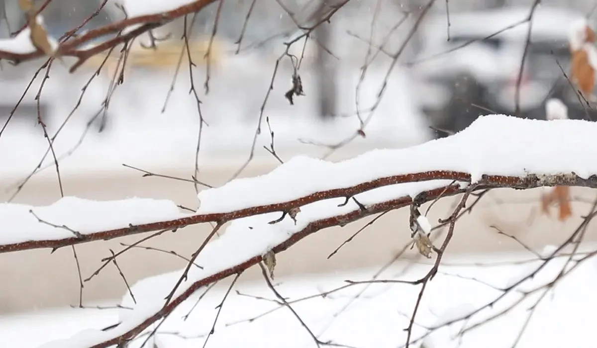 Жұма күнге арналған ауа райы болжамы жарияланды