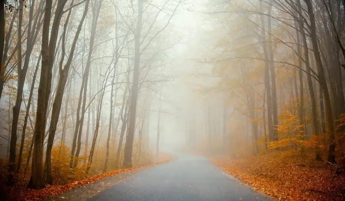 16 қарашада елімізде жауын-шашын түспейді