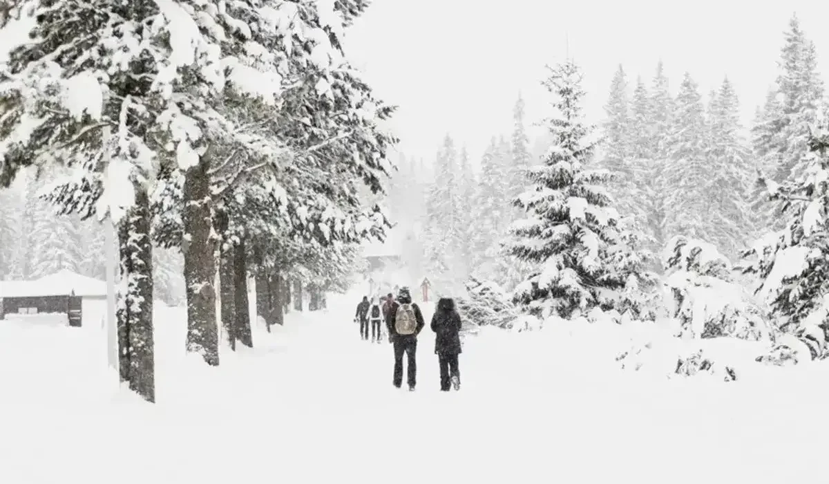 Қазақстанның 14 өңірінде дауылды ескерту жарияланды