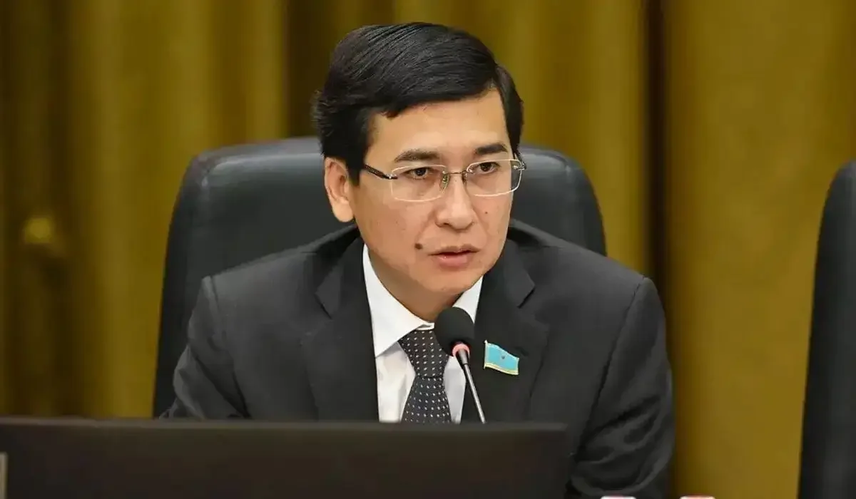 «Бастығы» бар фрилансер әлеуметтік кепілді төлемдерден тыс қалып отыр - депутат