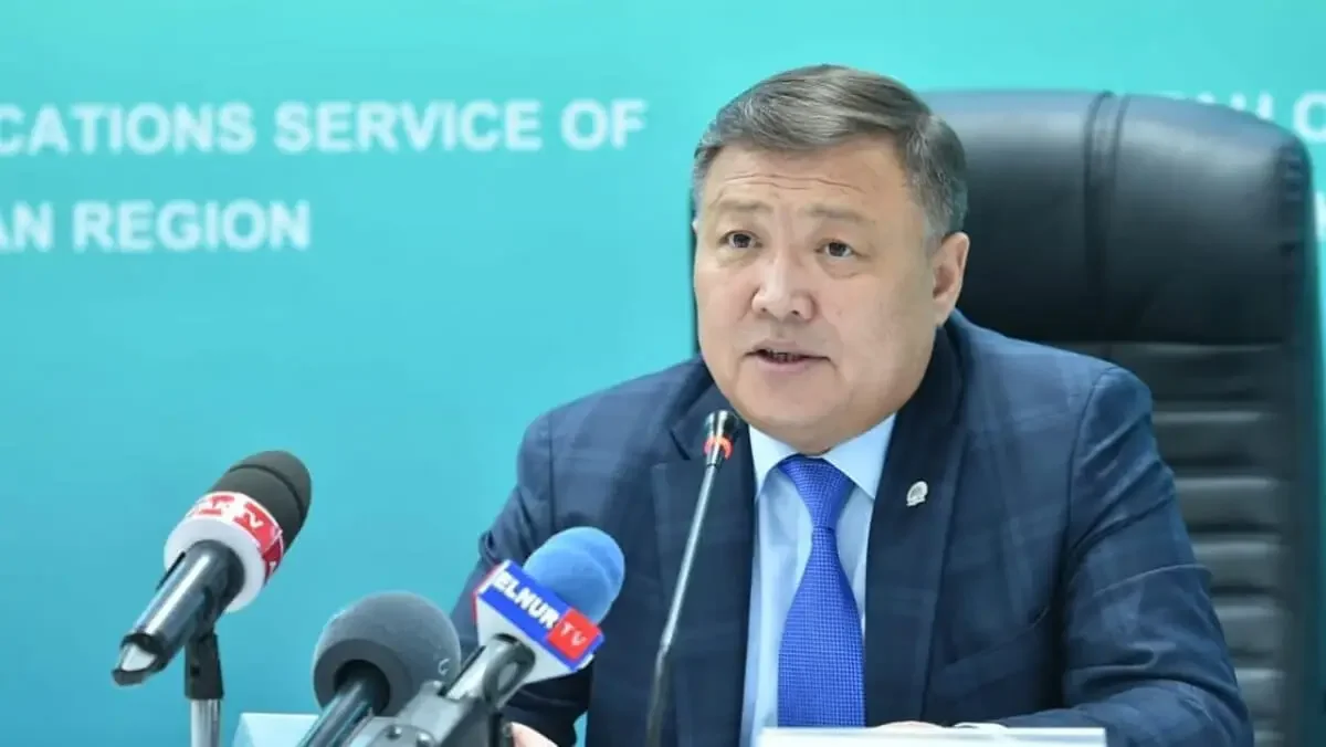 Былтыр еліміздің үш облысында қаңғыған жануарлардың кесірінен 100-ден аса жол апаты болды – депутат