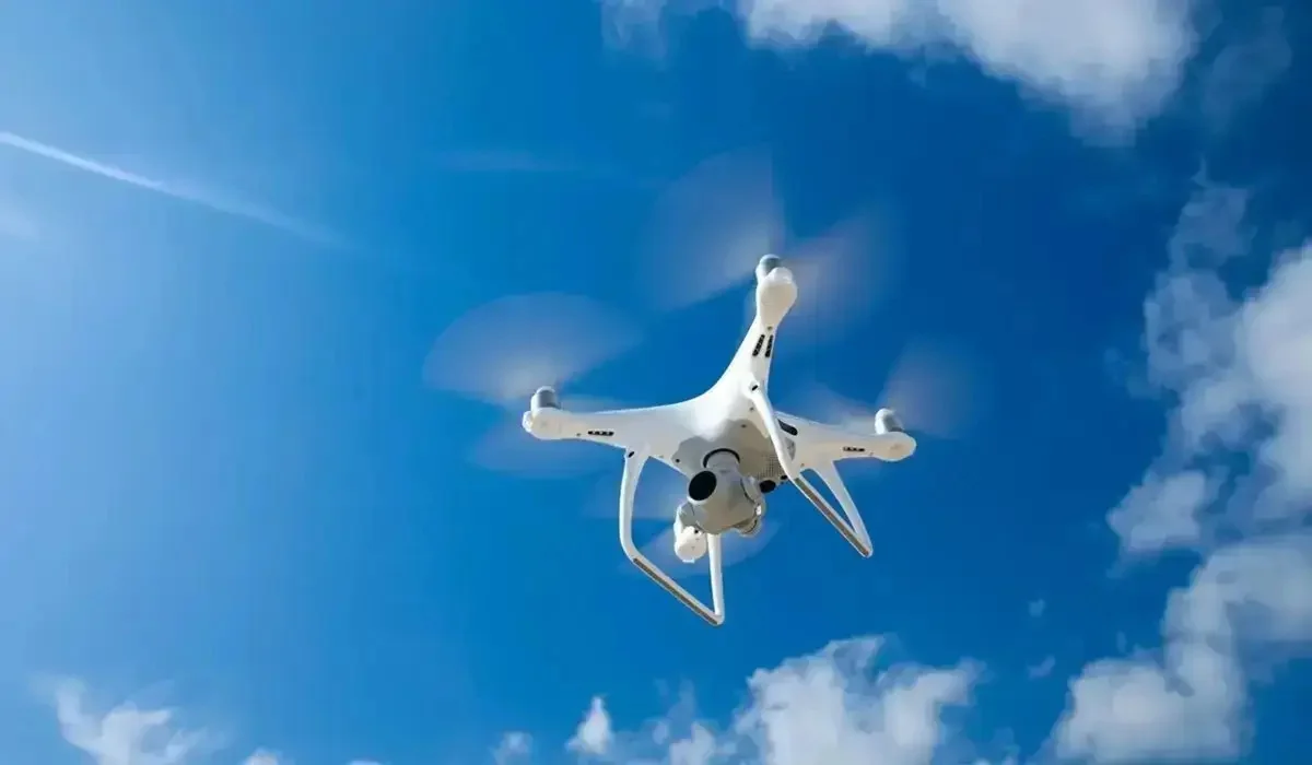 Абай облысында қараусыз жайылып жүрген мал дрон арқылы анықталып жатыр (ВИДЕО)