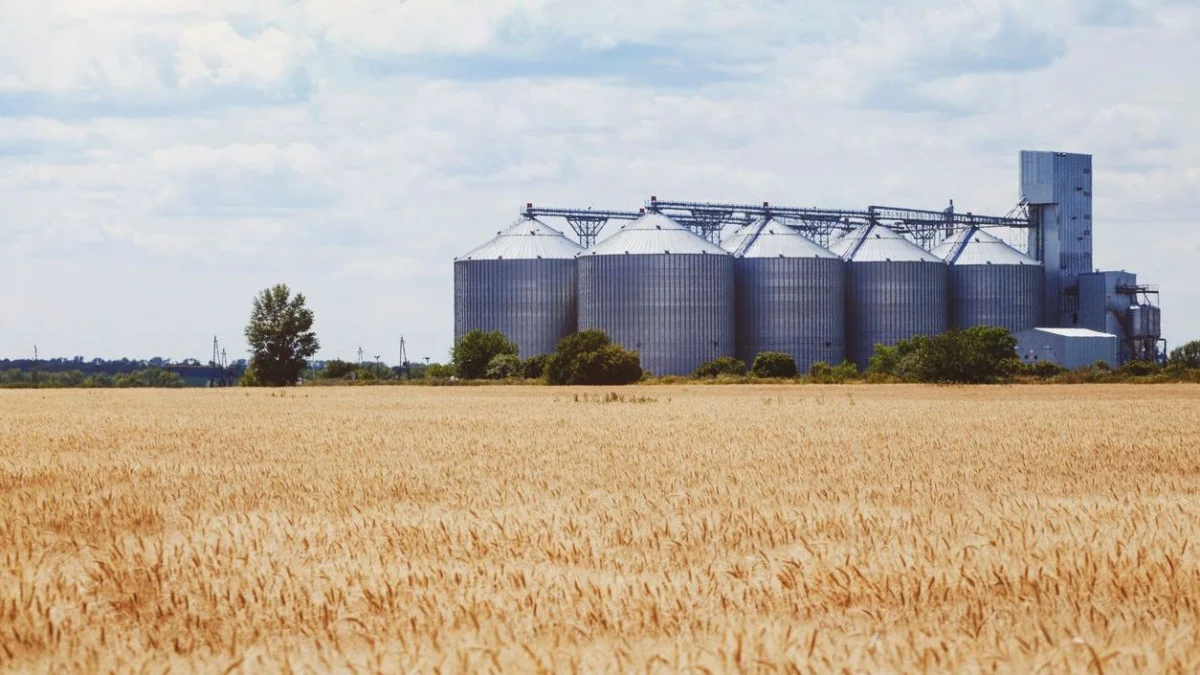 СҚО-да элеватор қызметкері 30 метр биіктен астықтың ішіне құлап, көз жұмды