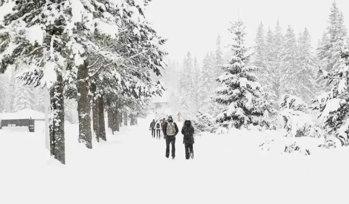 Еліміздің бірнеше өңірінде дабылды ескерту жарияланды