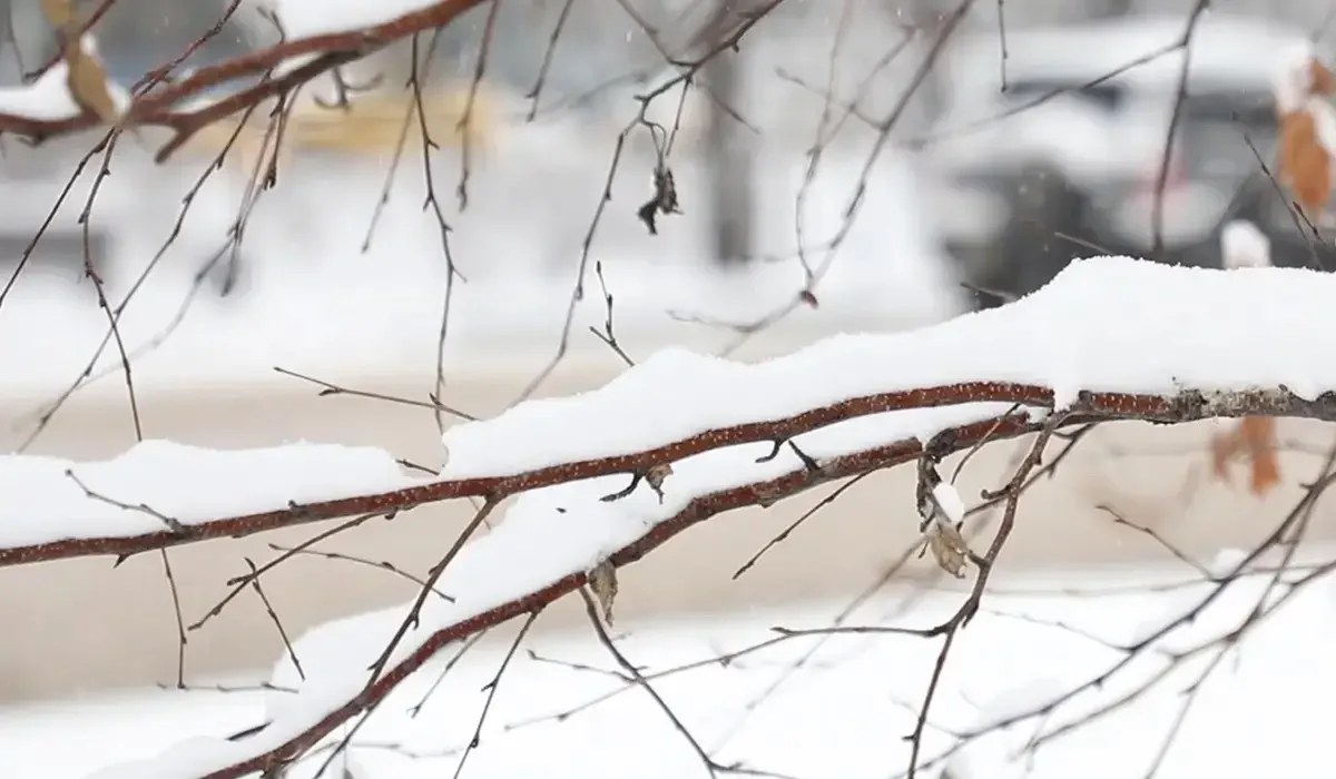 Бұрқасын соғып, көктайғақ болады: еліміздің бірнеше өңірінде дабылды ескерту жарияланды