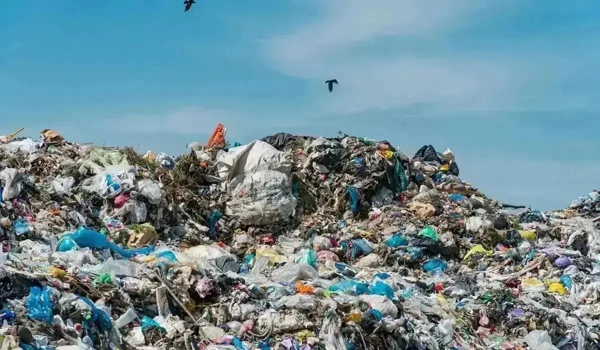 Қазақстанның үш ірі мегаполисінде қоқыс өртейтін зауыт салынады