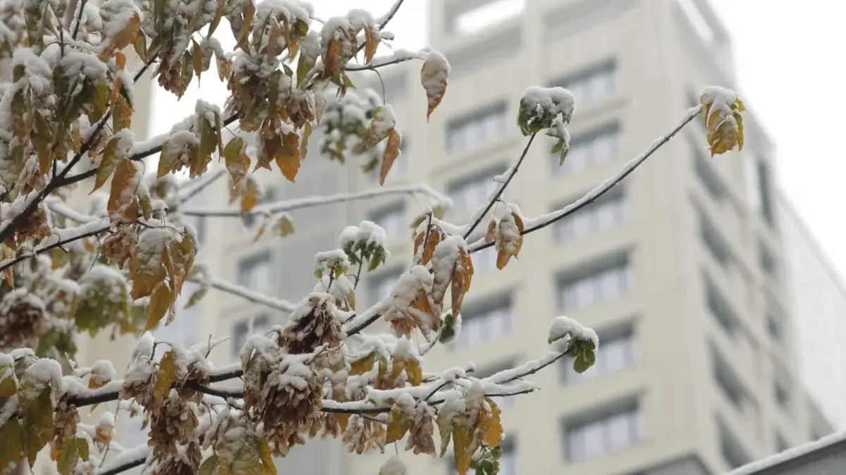 Тұман, жел: 30 қарашаға арналған ауа райы болжамы жарияланды