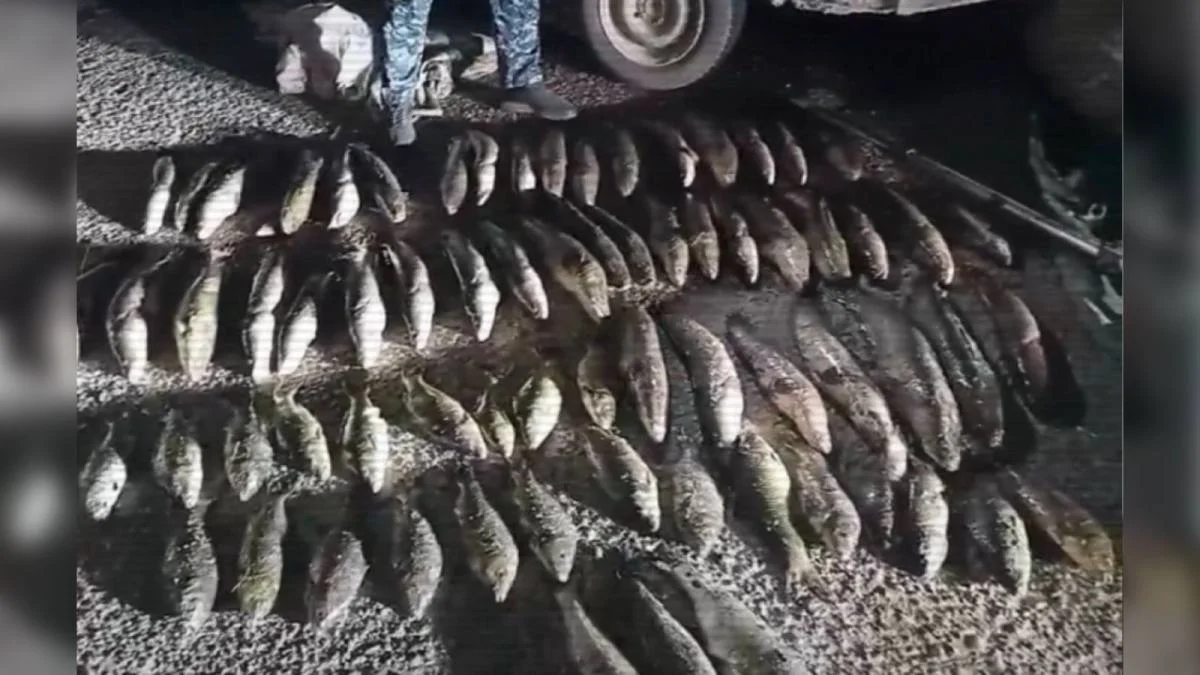 Қазақстанда 4 мыңнан астам адам браконьерлік бойынша істі болды