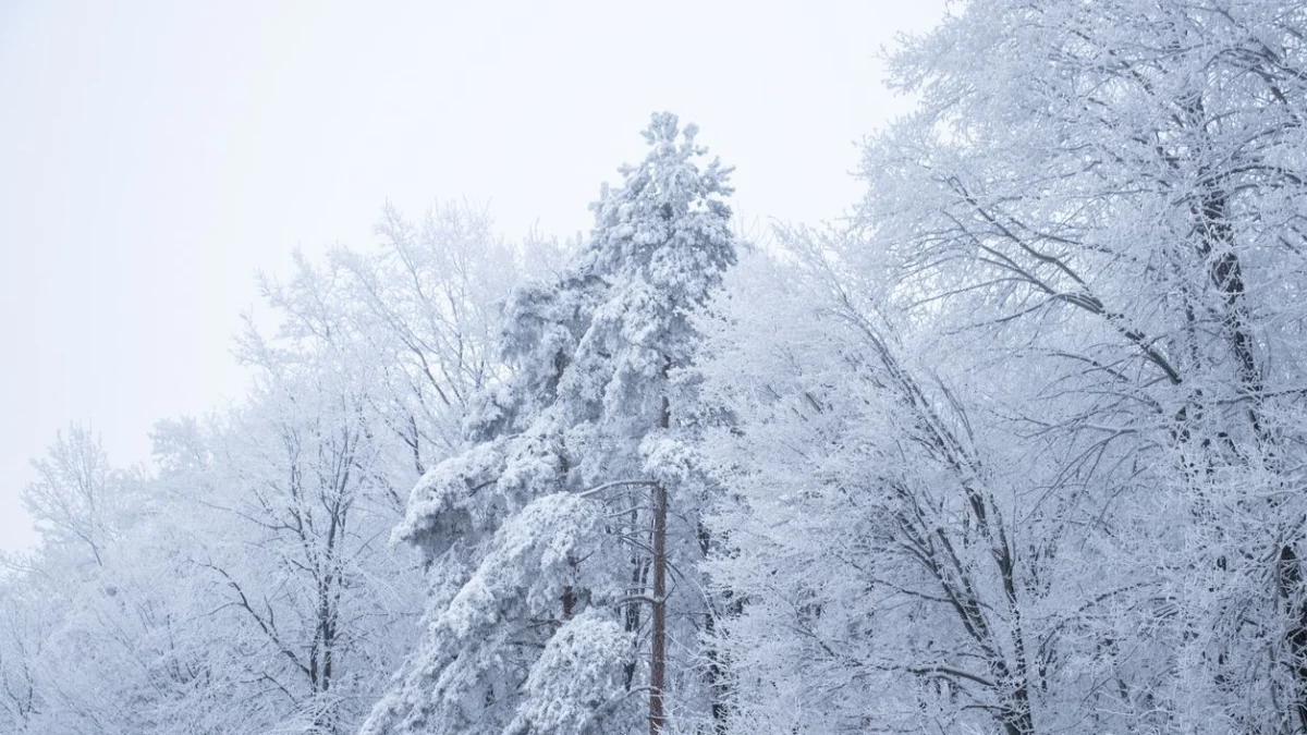 «35 градус аяз»: Қазақстанда қыстың алғашқы айында ауа райы қандай болады