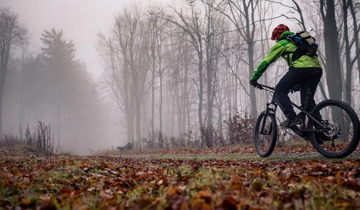 Еліміздің бірнеше өңірінде дабылды ескерту жарияланды