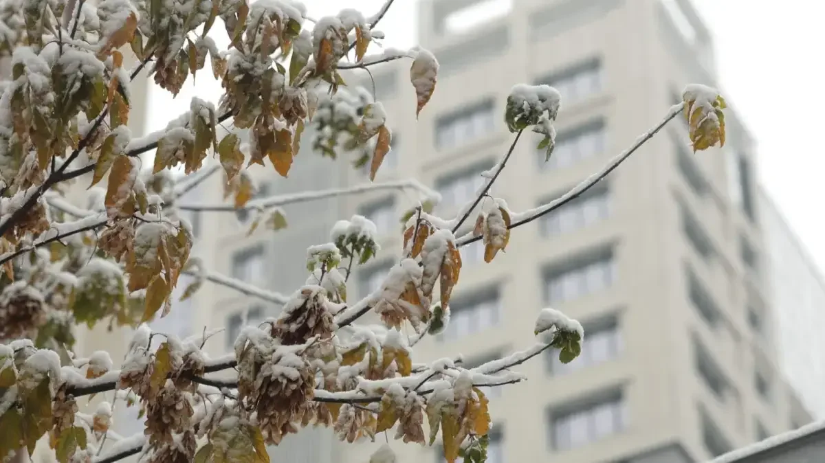 Қазақстанда 3 желтоқсанда ауа райы қандай болады
