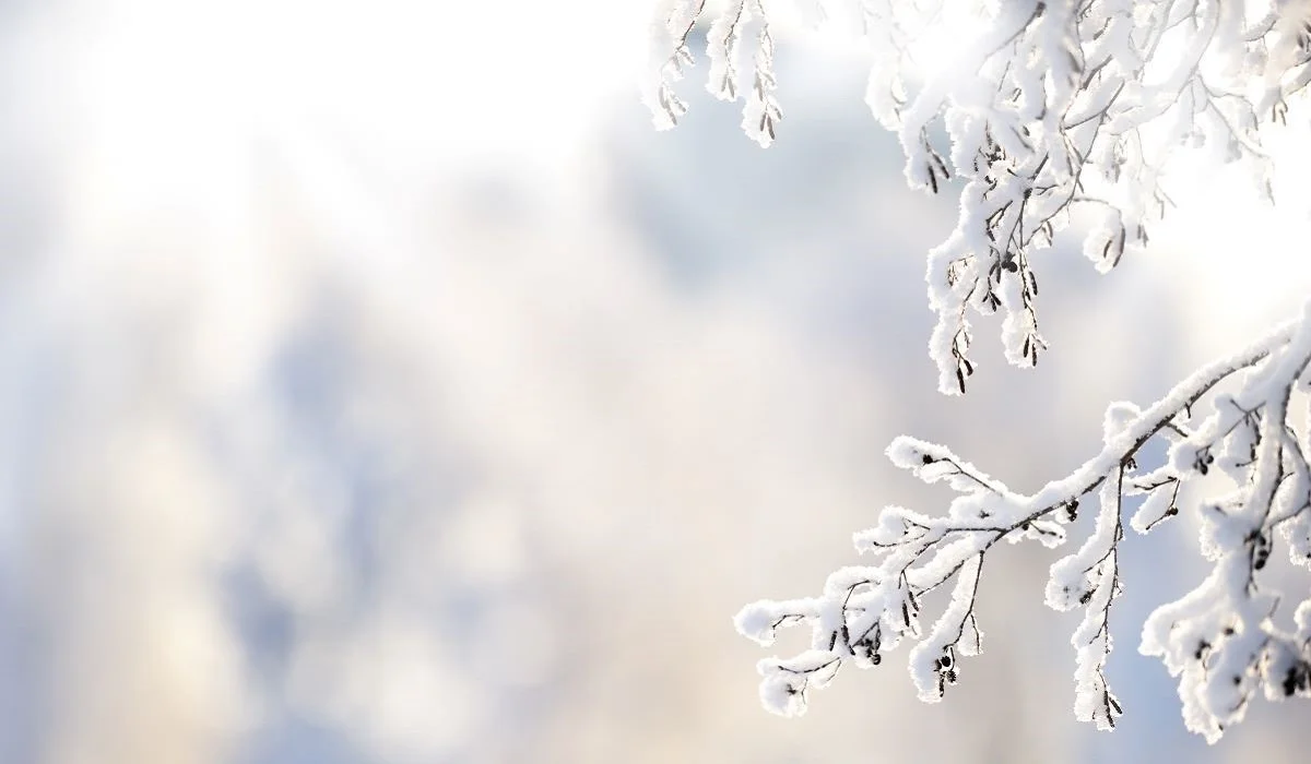 Кей өңірлерде қар, жаңбыр жауады: елімізде 4 желтоқсанда ауа райы қандай болады