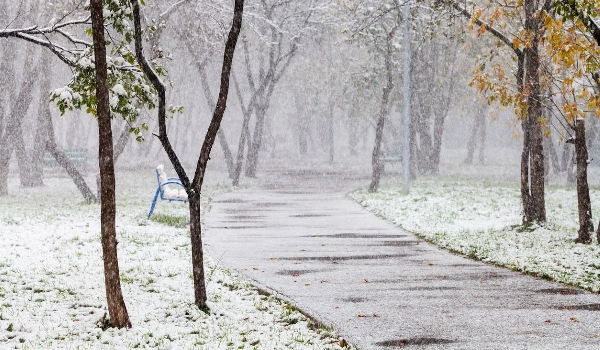 Қар жауады: Қазақстанда 5 желтоқсанда ауа райы қандай болады