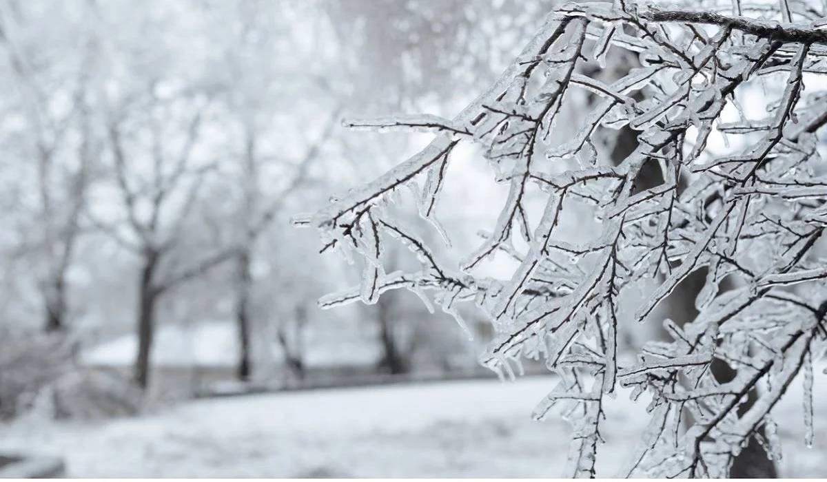 Қар, көктайғақ, бұрқасын: Қазақстанда 6 желтоқсанда ауа райы қандай болады