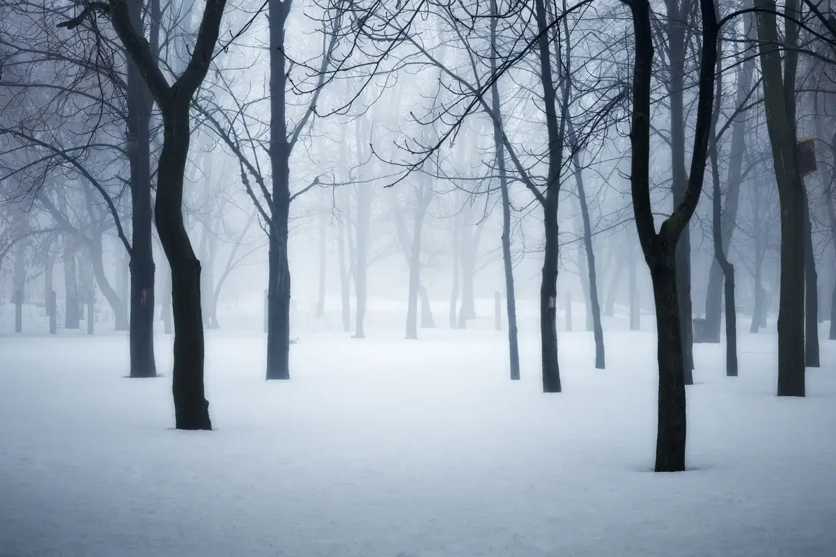 7 желтоқсан күнгі ауа райы болжамы жарияланды