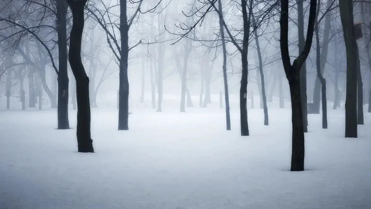 Тұман, көктайғақ, бұрқасын: жексенбі күні Қазақстанда ауа райы қандай болады