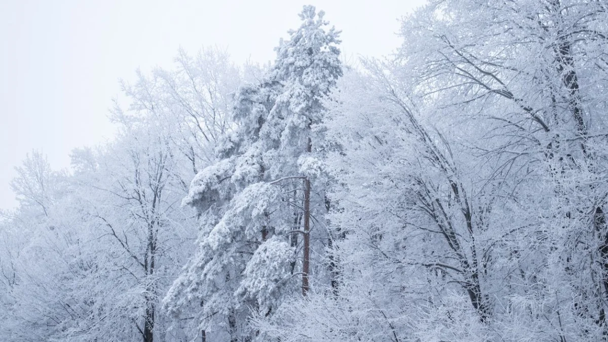 28 градус аяз болады: сейсенбіге арналған ауа райы болжамы жарияланды