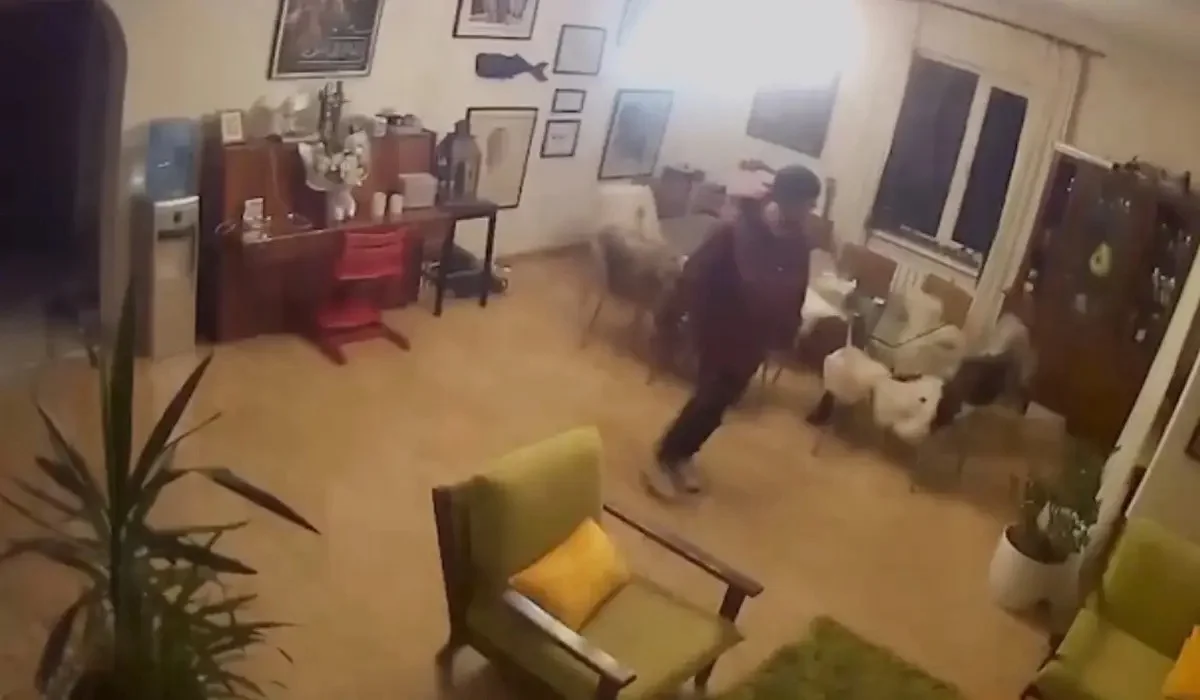 Алматыда ер ұрланған сейфті троллейбуспен алып қашпақ болды (ВИДЕО)