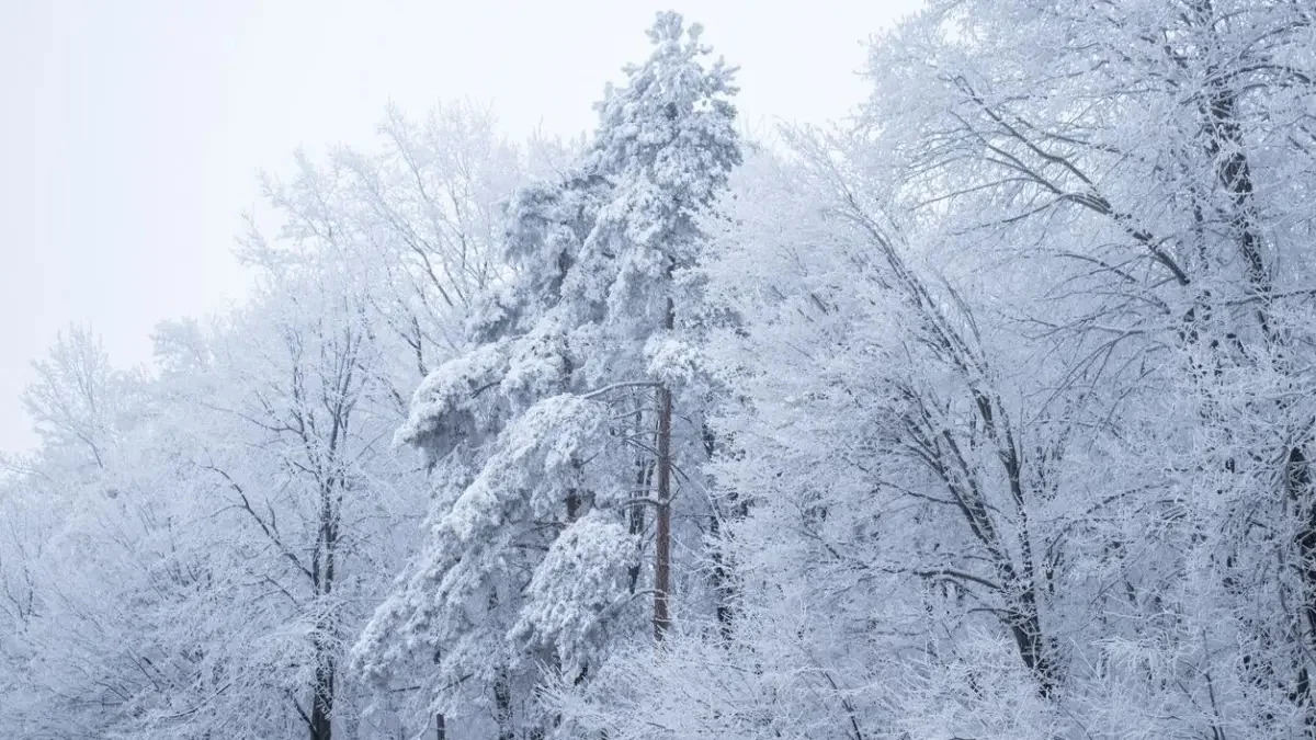 Бейсенбі күні Қазақстанда ауа райы қандай болады
