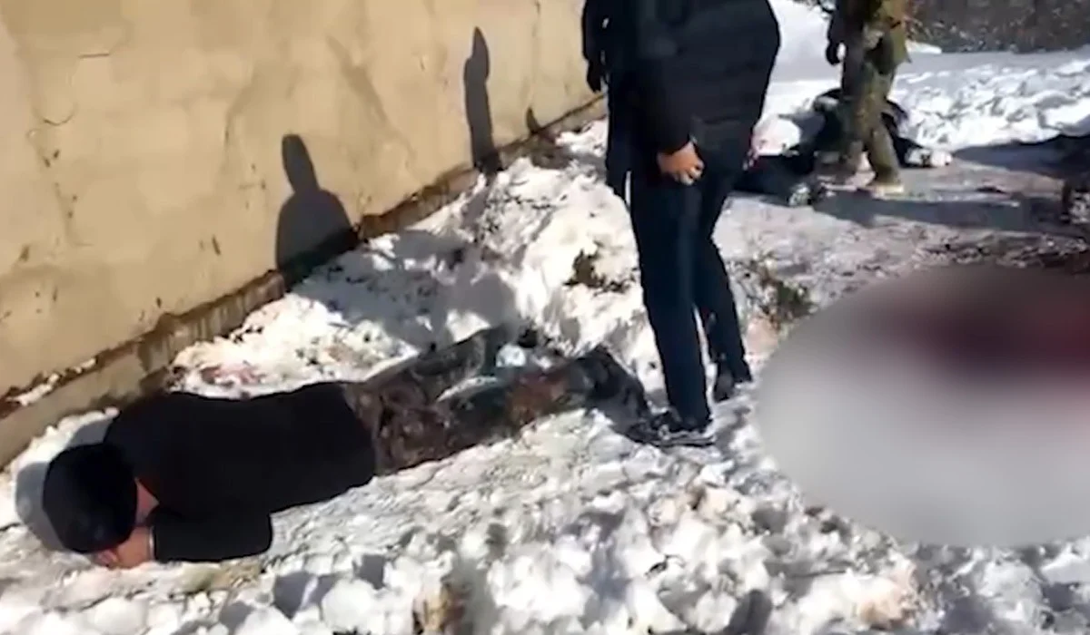 Жетісу облысында ер адам бір үйір жылқыны айдап әкетіп, сойып жатқан жерінен ұсталды