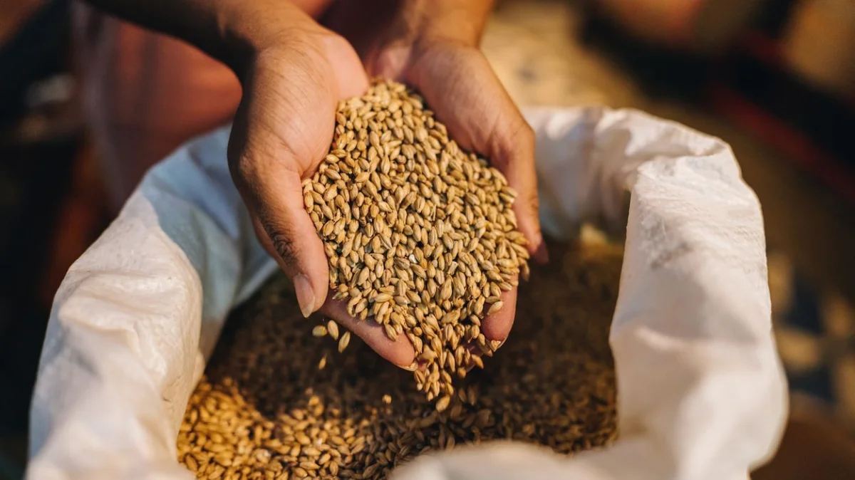 Қазақстан өткен жылы Иранға 500 мың тоннадан астам арпа экспорттады
