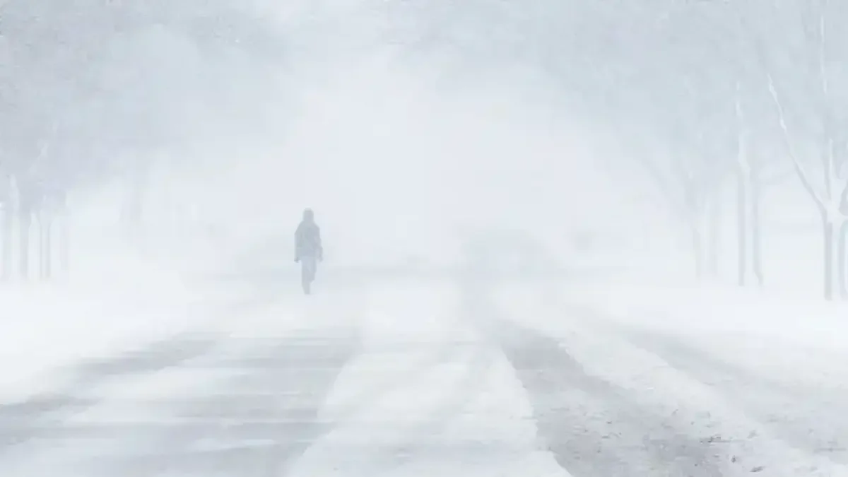 СҚО-да адасып кеткен ер адам құтқарушыларды 12 сағат күткен