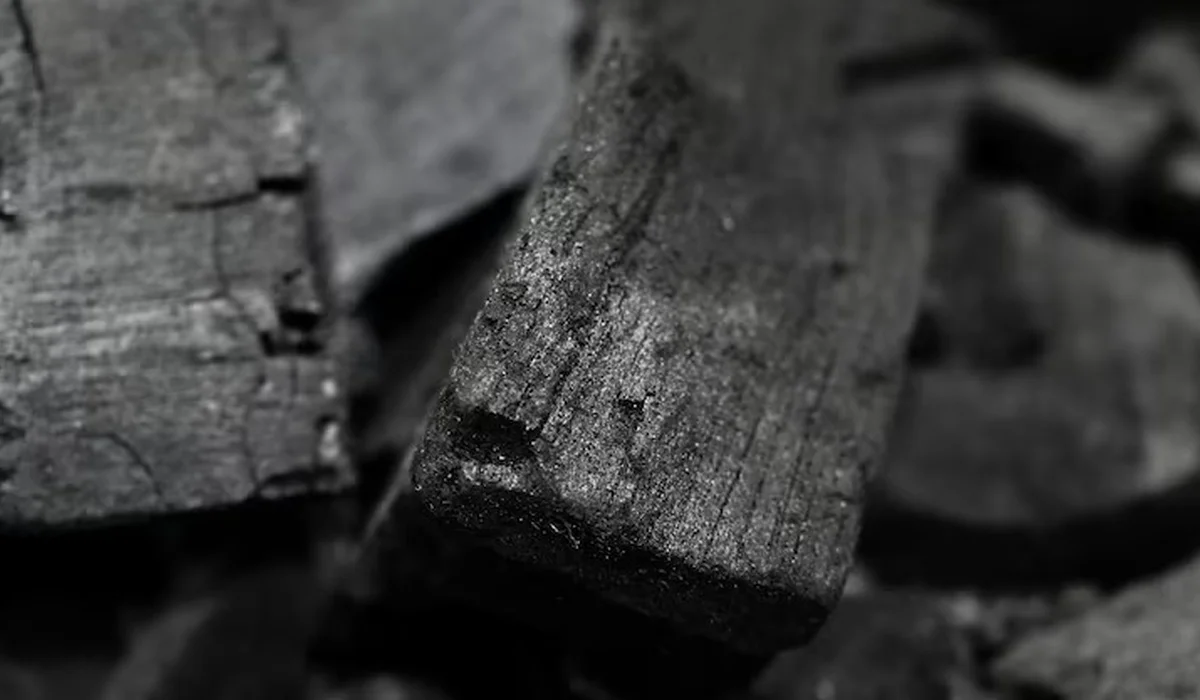 «Әбден созылып кетті»: президент «таза көмір» технологиясына тезірек көшуді тапсырды