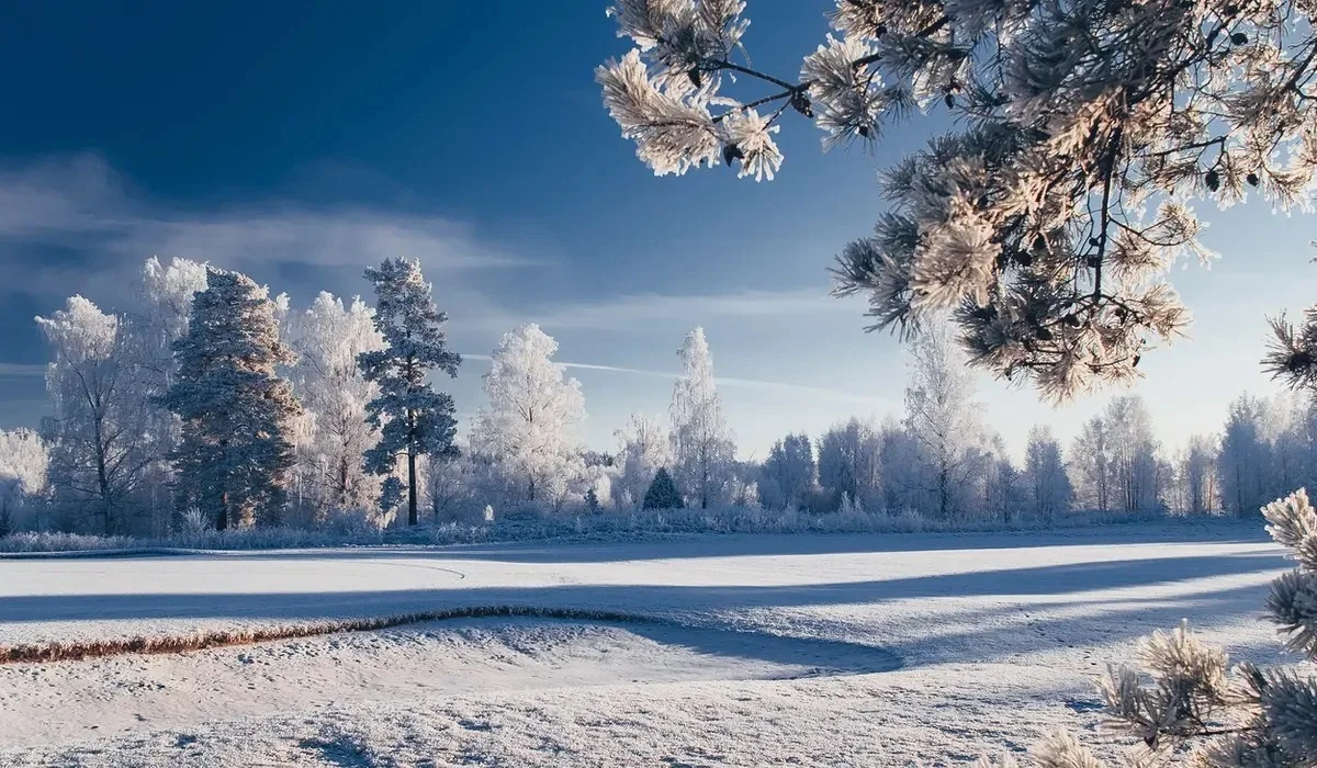 Алдағы күндері 28 градус аяз болады: «Қазгидромет» ауа райы болжамын жариялады