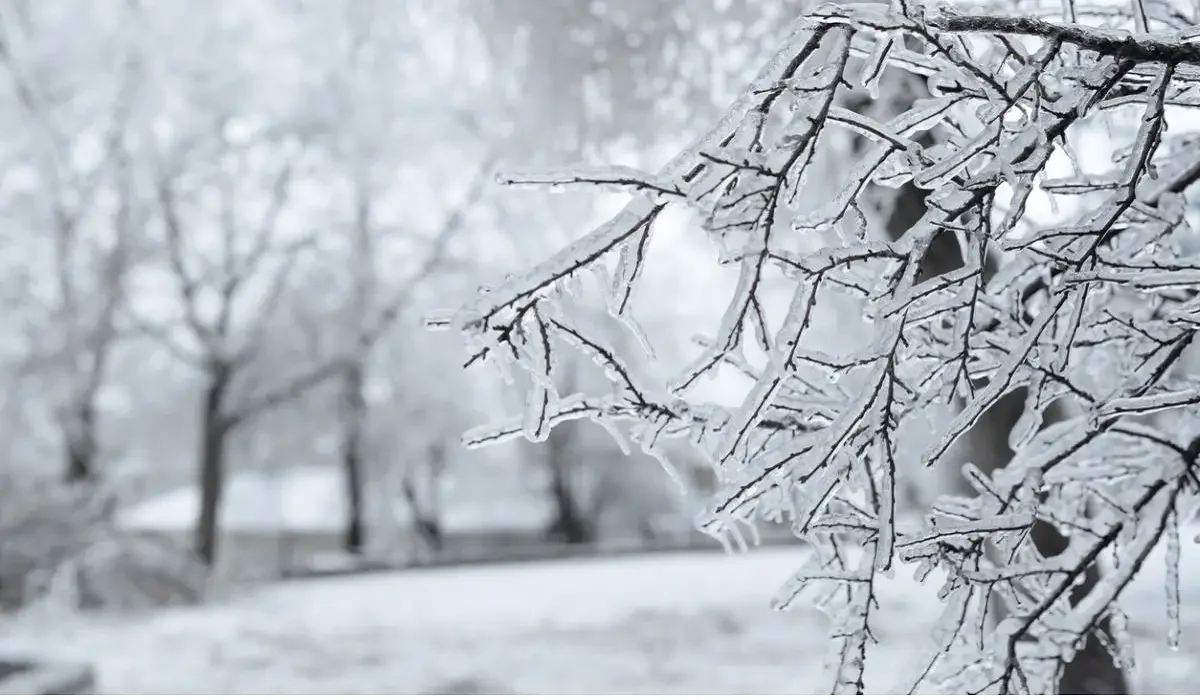Еліміздің 14 өңірінде дабылды ескерту жарияланды