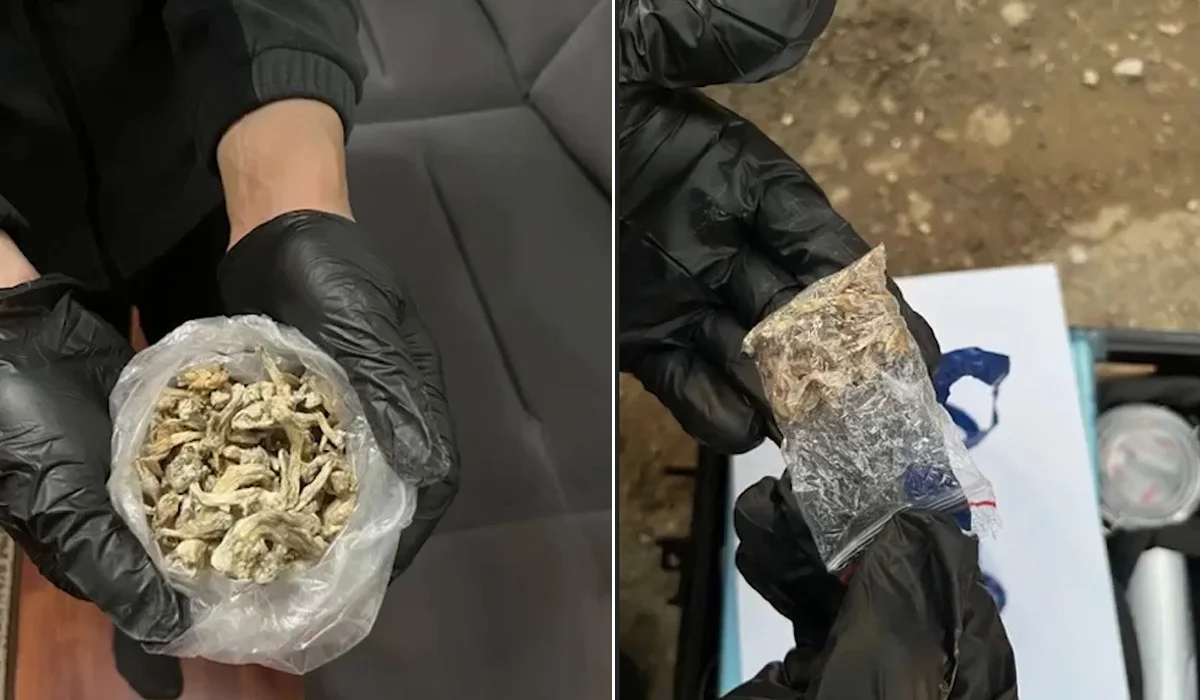 Қостанайда полиция көше кезіп жүрген ер адамды ұстап әкетті (ВИДЕО)