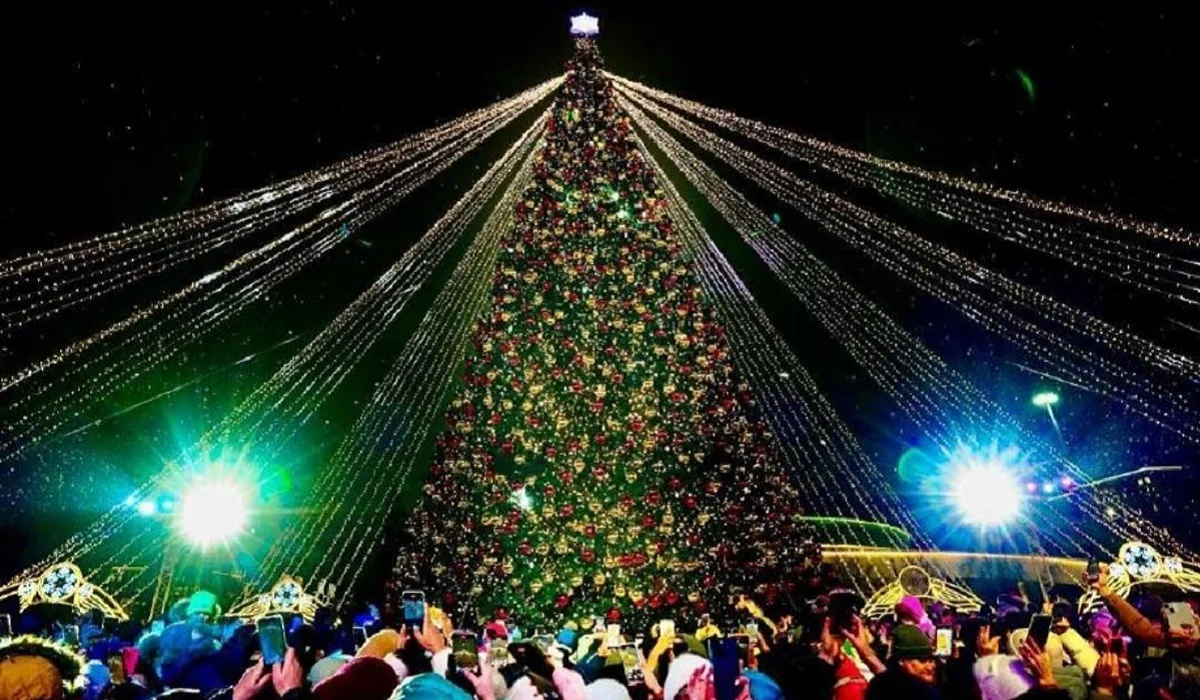 Астанада 40-тан астам жаңа жылдық шырша орнатылатын болды