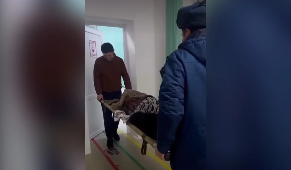 «Он шақырым жерден табылды»: полиция Ырғызда адасып кеткен әжені зембілге салып әкелді (ВИДЕО)