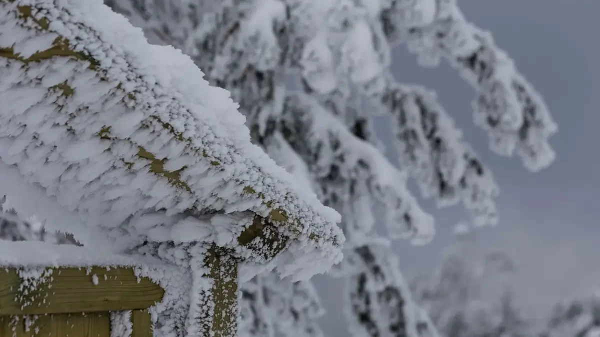 Қазақстанның бірнеше өңірінде 30-35 градус аяз болады