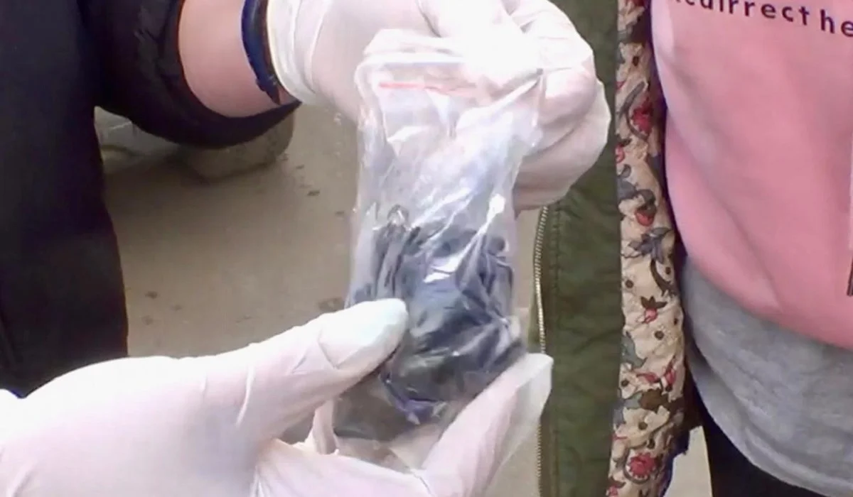 Павлодарда іш киіміне есірткі жасырып жүрген әйел адам ұсталды