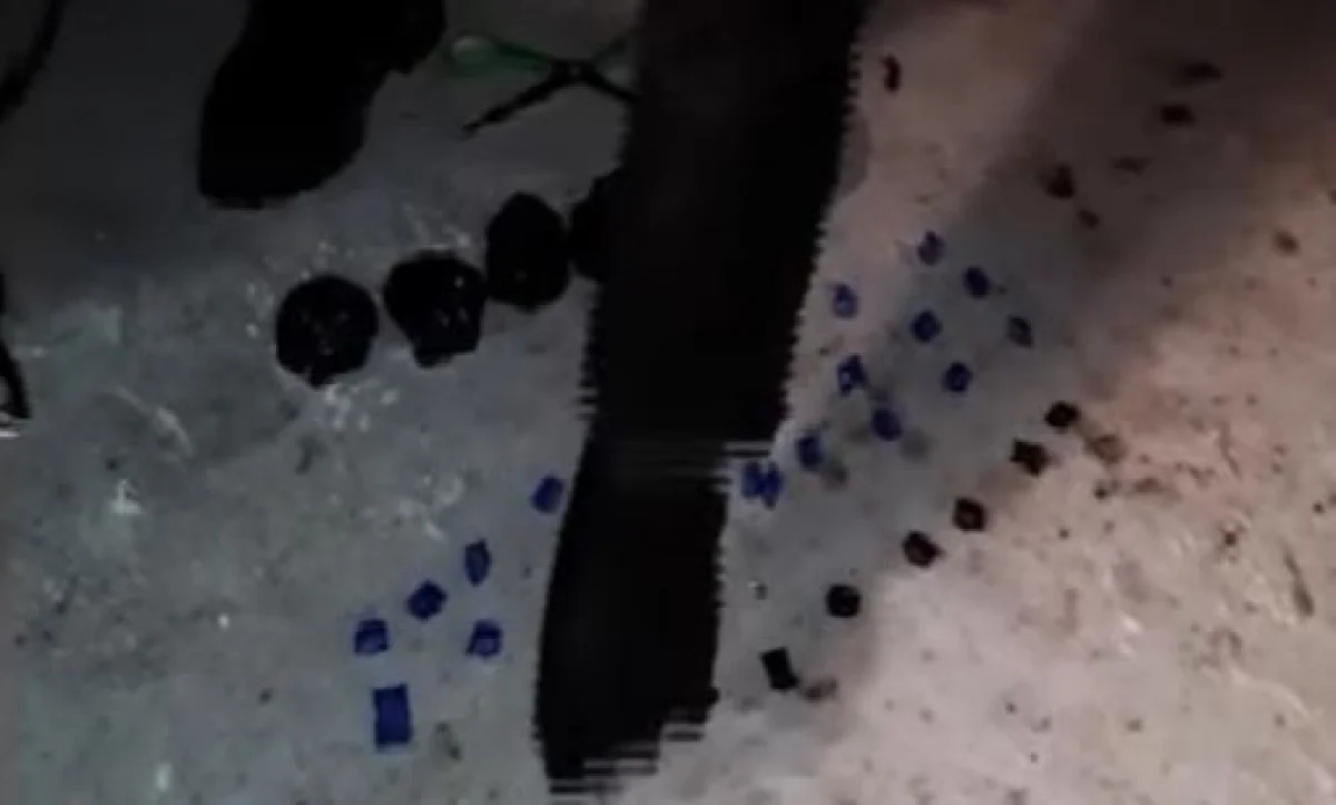 Астанада жас жігіттің көлігінен жүздеген түйіншек есірткі табылды