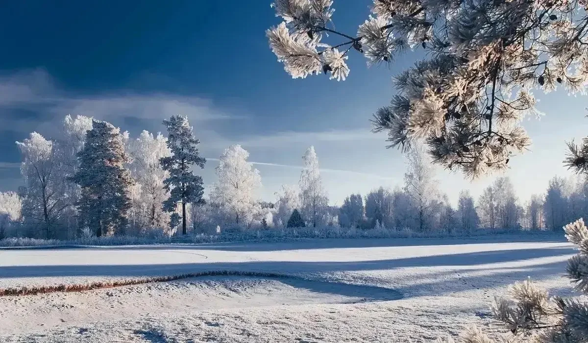 Боран, аяз, қар аралас жаңбыр: сәрсенбіге арналған ауа райы болжамы жарияланды