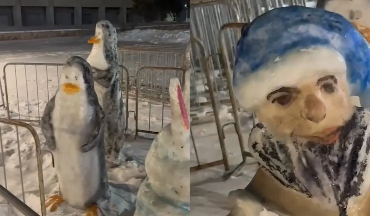 Степногорсктегі Аяз Ата мен Ақшақар тұрғындарды «шошытып» жатыр (ВИДЕО)