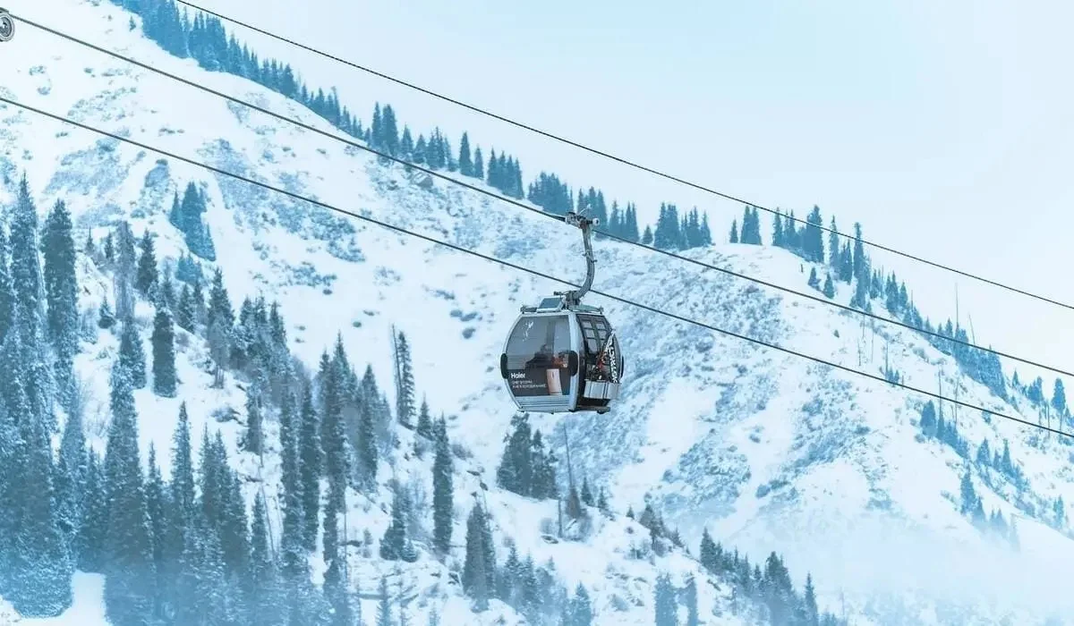 «Шымбұлақтағы» кафеде болған оқиға: Полиция департаменті мәлімдеме жасады