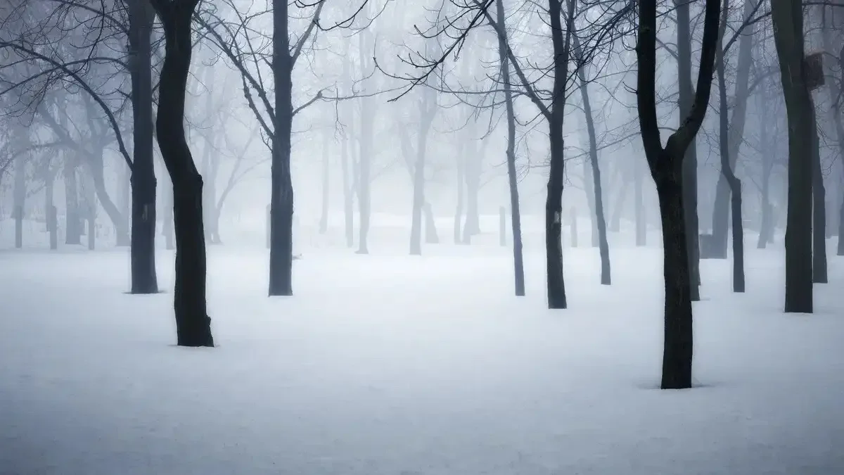 Тұман түсіп, көктайғақ болады: 14 өңірде дабылды ескерту жарияланды