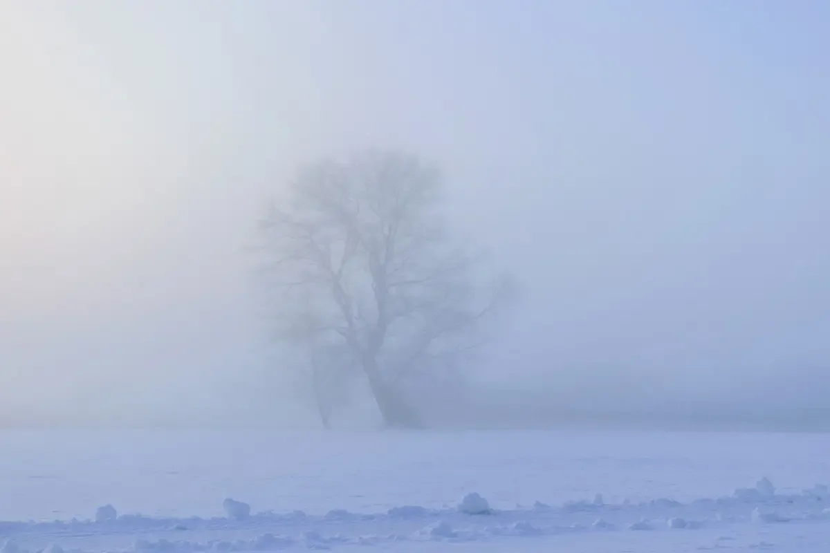 Тұман түсіп, боран соғады: 16 өңірде дауылды ескерту жарияланды