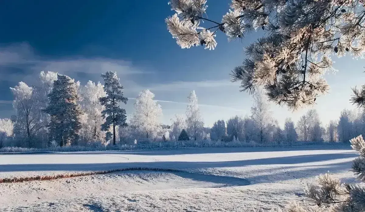 Қазақстанның 15 өңірінде дауылды ескерту жарияланды