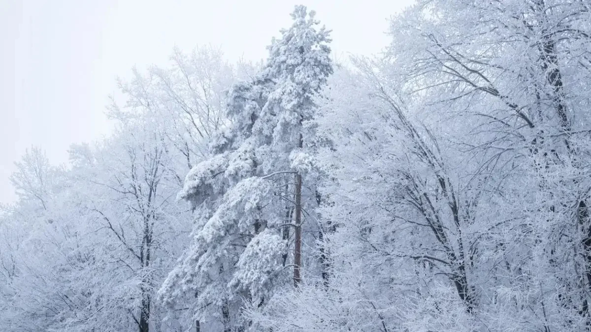 «Дауылды ескертулер»: 5 қаңтарда ауа райы қандай болады