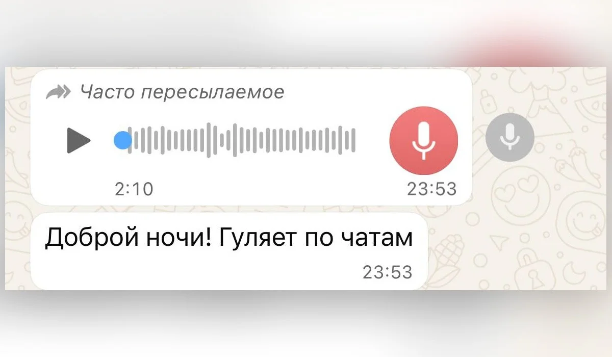 «Айыппұл аласыз»: полиция желіде тараған ақпаратқа жауап берді