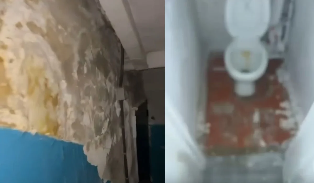 Алатауға барған жас дәрігерге әкімдік қора-қопсыққа тең үй ұсынған (ВИДЕО)