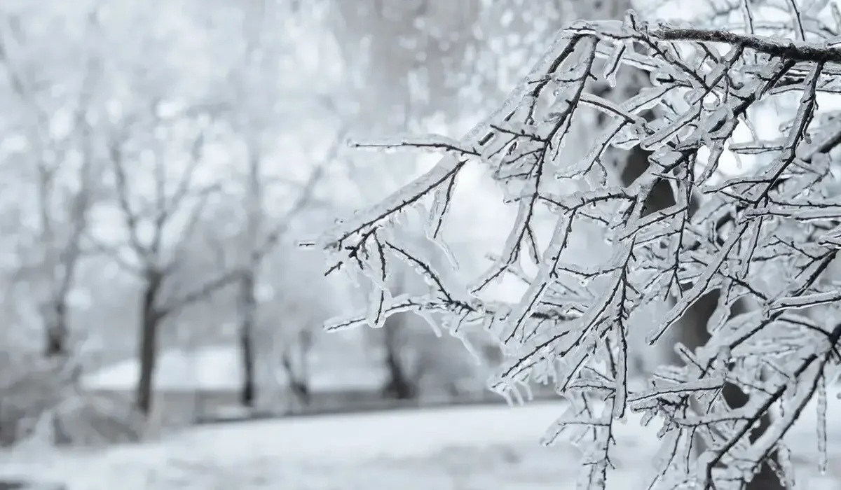 8 қаңтарда ауа райы қандай болады