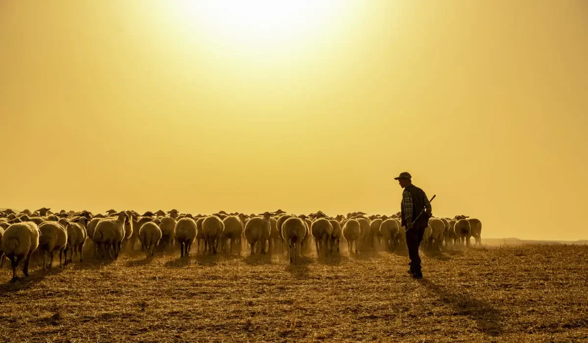 Қазақстанда кімдердің зейнет жасы төмендеуі мүмкін